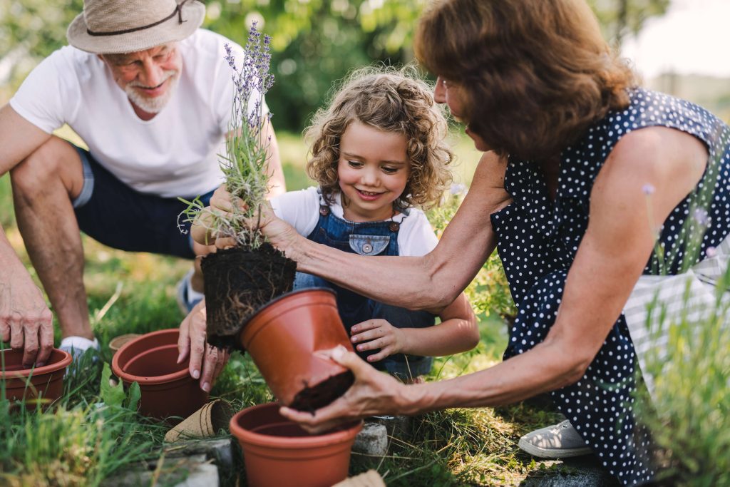 family planting shrubs in a garden