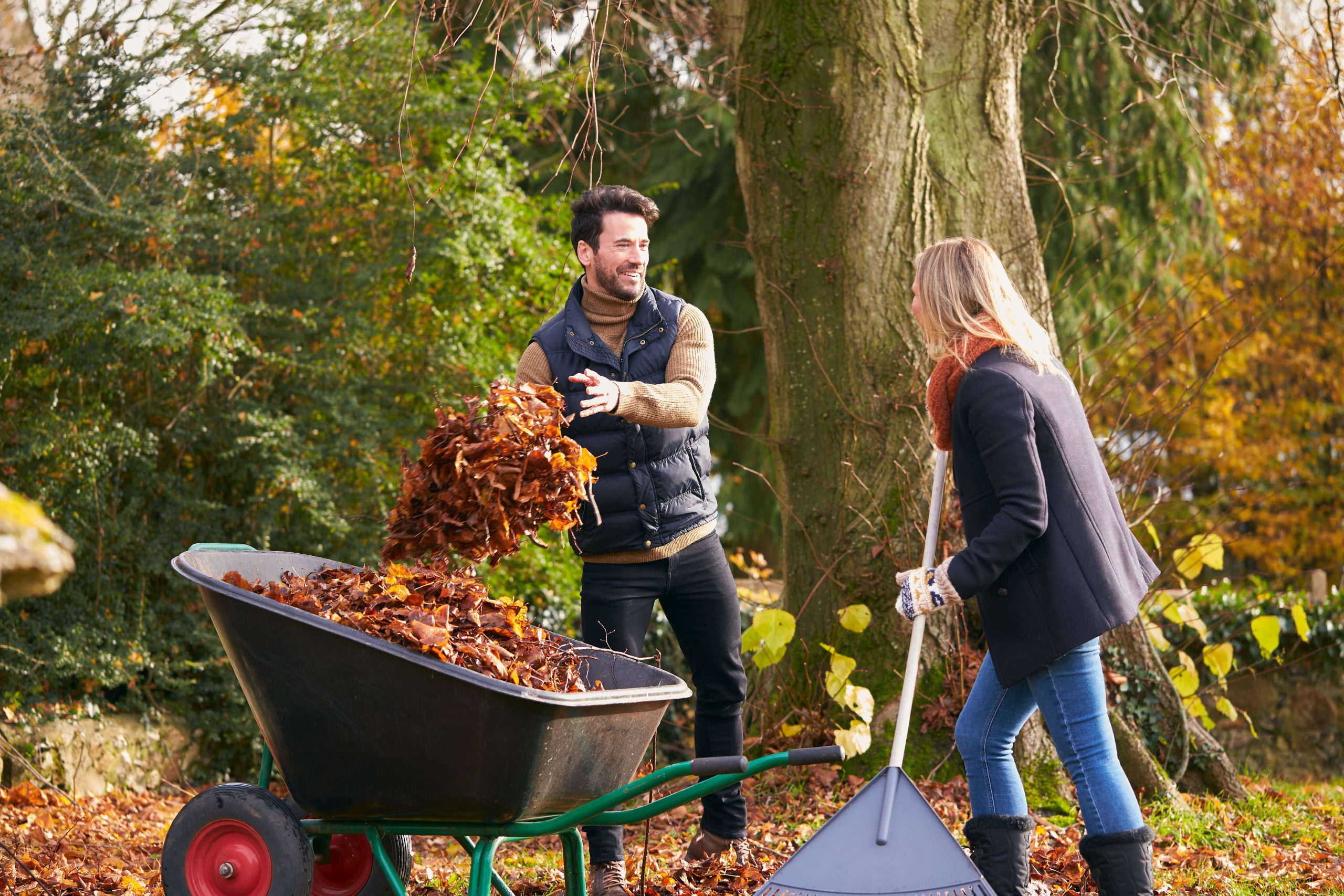 young couple raking leaves and doing yard maintenance in the fall